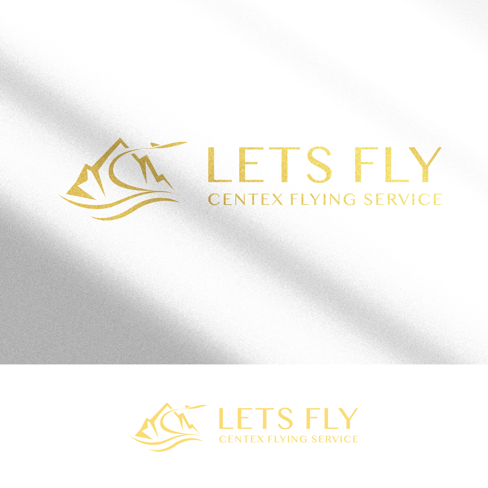Logo Design by zeykan for CENTEX FLYING SERVICE | Design #31543335