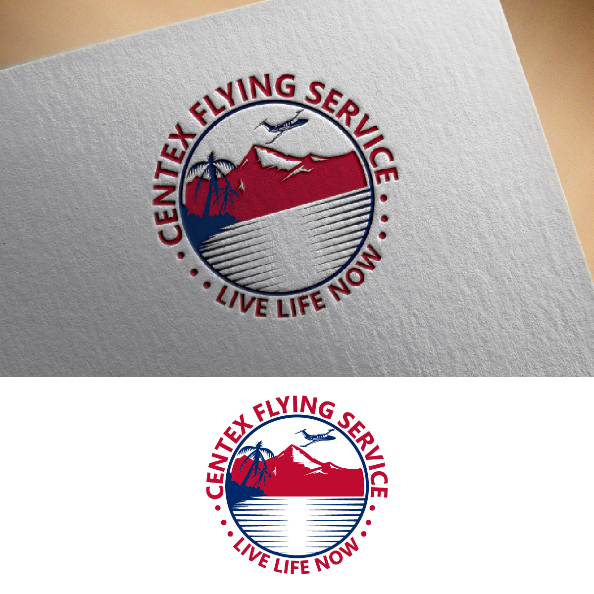 Logo-Design von fly  design für CENTEX FLYING SERVICE | Design #31518000