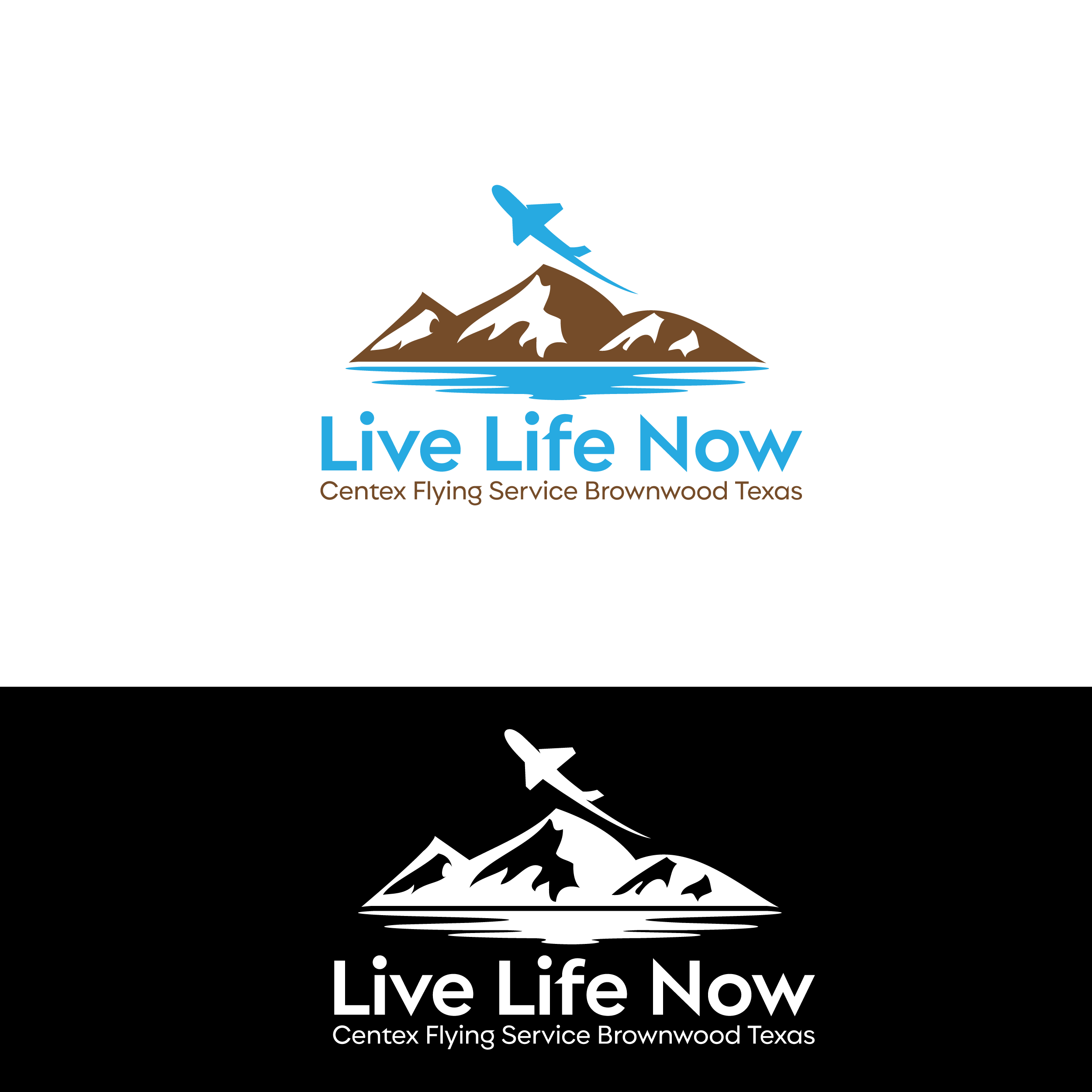 Logo Design by jynemaze for CENTEX FLYING SERVICE | Design #31516685