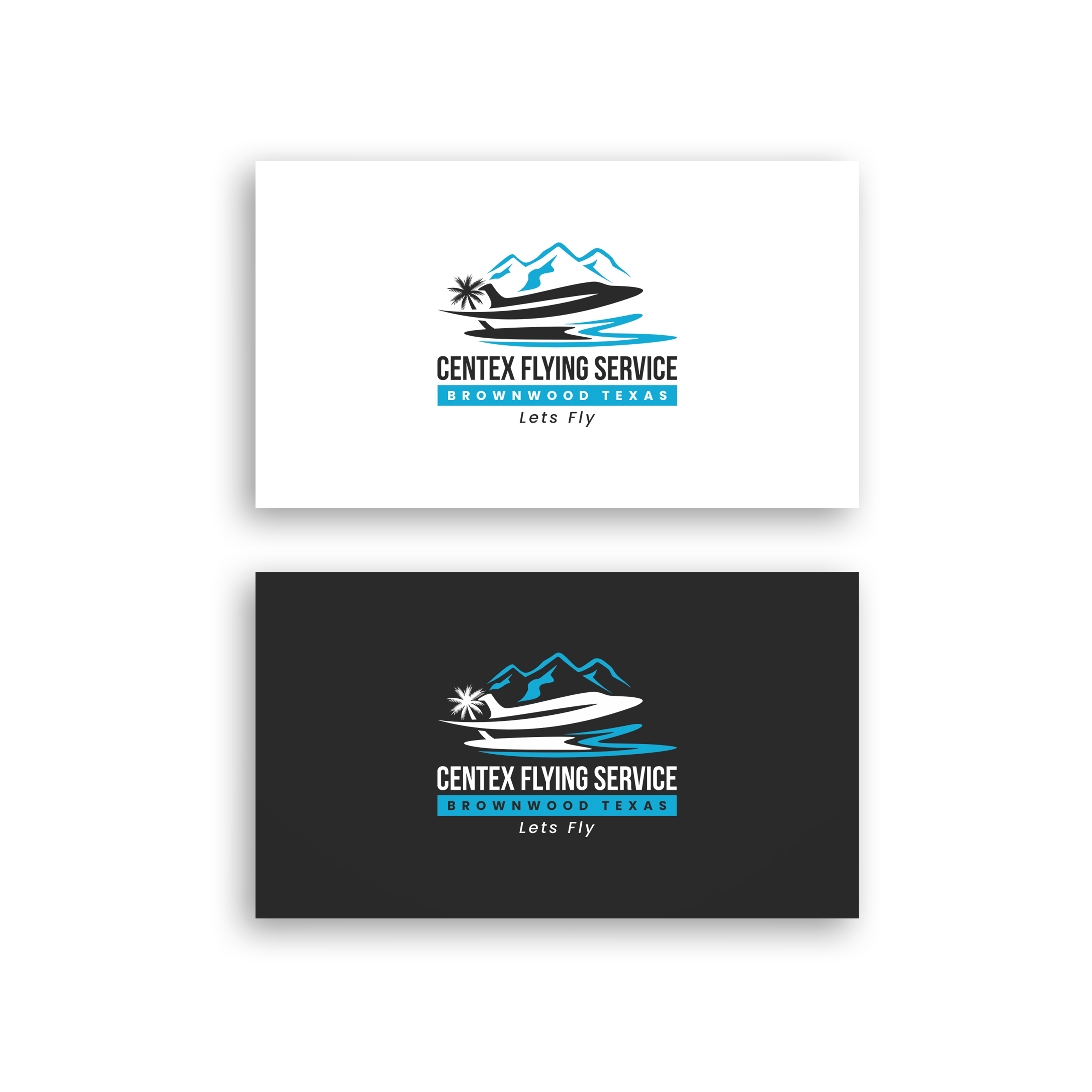 Logo Design by aquabomb26 for CENTEX FLYING SERVICE | Design #31515222