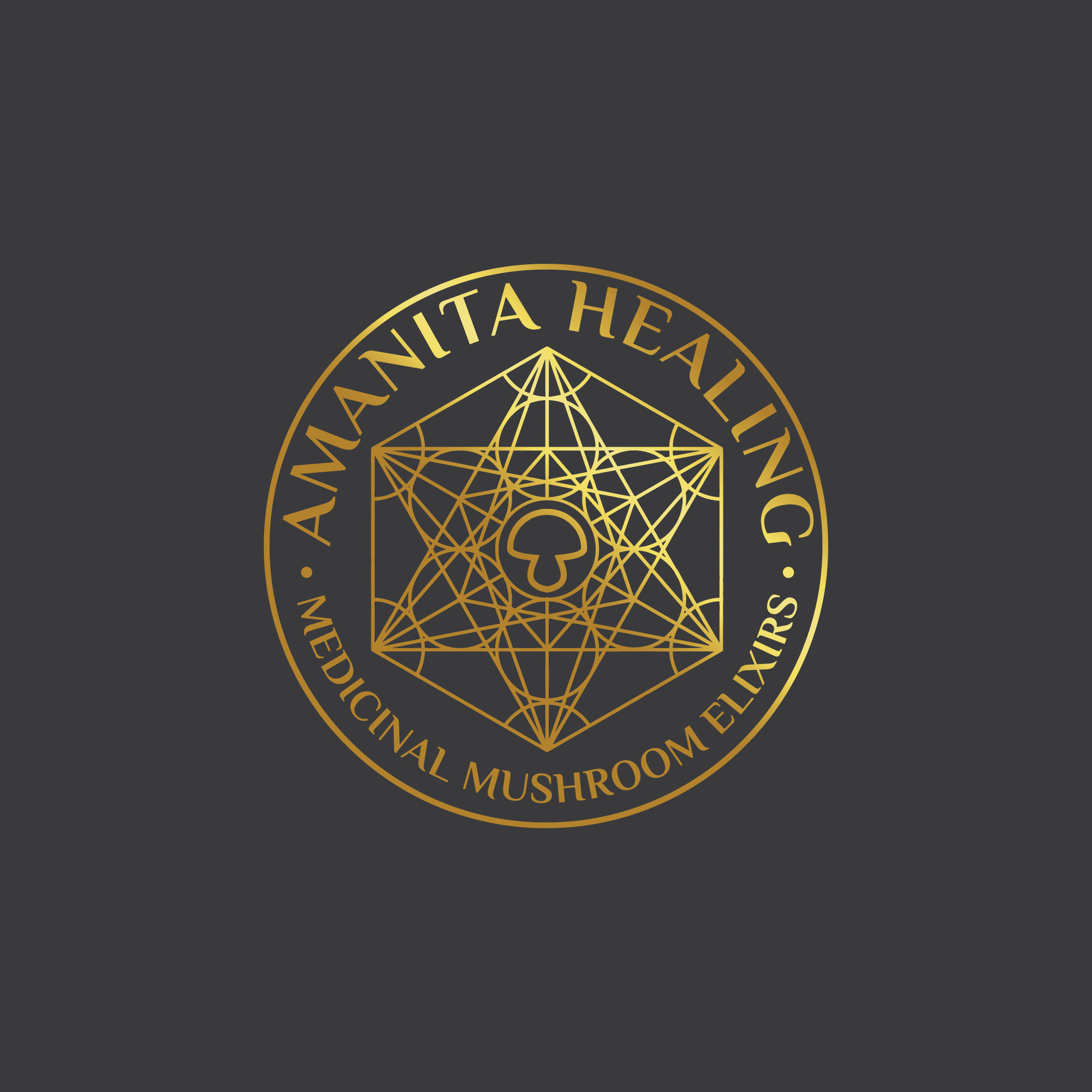 Design de Logo par MD ROKON UDDIN pour ce projet | Design : #31521633