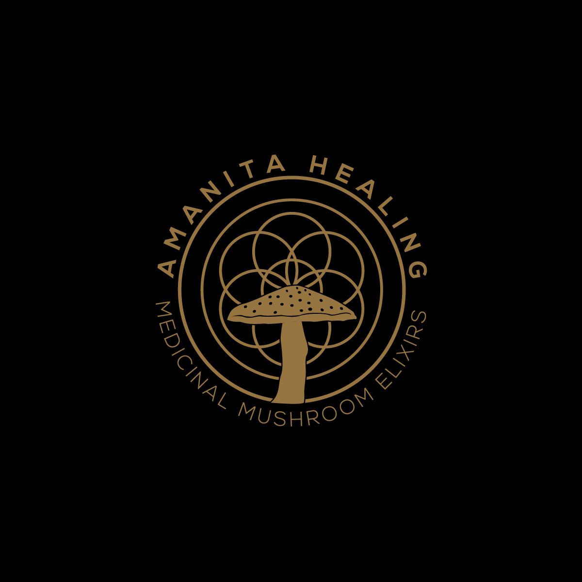 Logo Design by fly  design for this project | Design #31524556