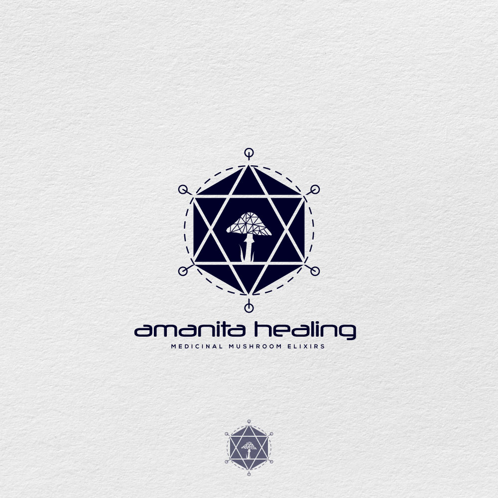 Logo Design by Ansh Design for this project | Design #31517784