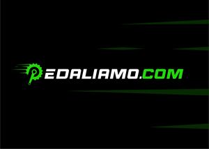 Logo Design by QueenArt for We Drive You di Tomas Pedani | Design: #31554014