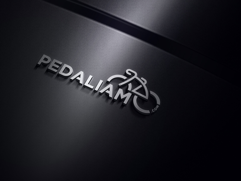 Logo Design by Ariyan Design for We Drive You di Tomas Pedani | Design #31535074