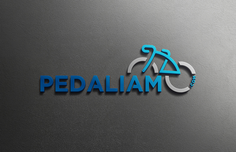 Logo Design by Ariyan Design for We Drive You di Tomas Pedani | Design #31535099