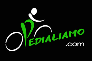 Logo Design by Chas Designs for We Drive You di Tomas Pedani | Design: #31565979