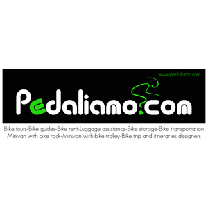 Logo Design by Jaka Suharno for We Drive You di Tomas Pedani | Design: #31525834