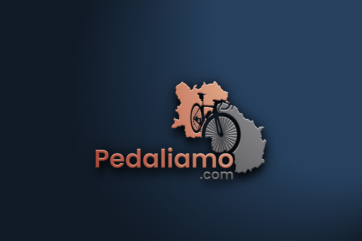 Logo-Design von Deziners Zone für We Drive You di Tomas Pedani | Design #31519448