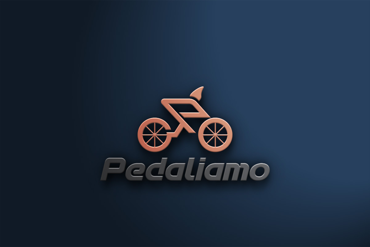 Logo Design by Deziners Zone for We Drive You di Tomas Pedani | Design #31519449