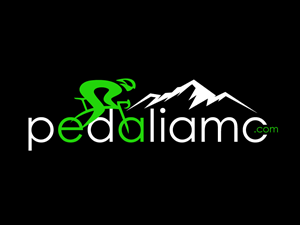 Design de Logo par Dream Logo Design pour We Drive You di Tomas Pedani | Design : #31537867