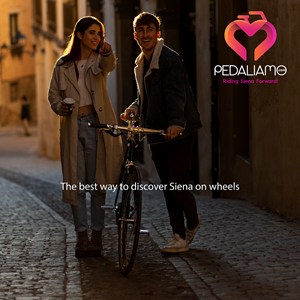 Logo Design by WholeBranding® for We Drive You di Tomas Pedani | Design: #31565177