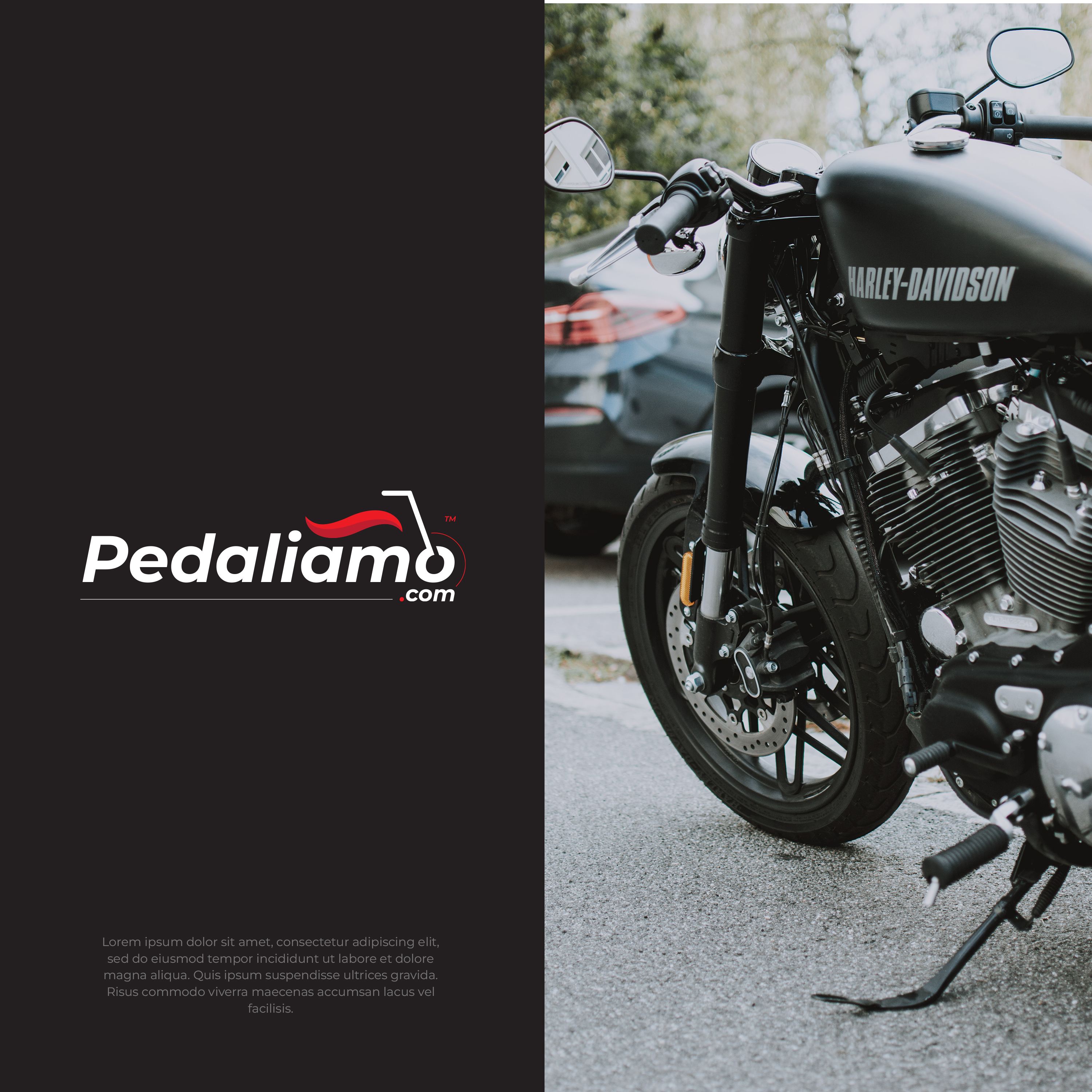 Logo Design by vramar.roy for We Drive You di Tomas Pedani | Design #31520177