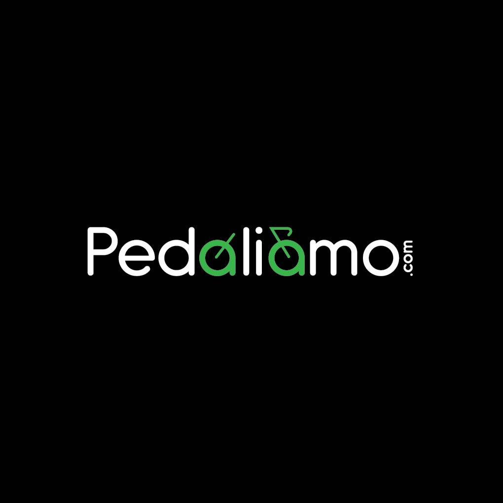 Logo-Design von r. ilham für We Drive You di Tomas Pedani | Design #31559615