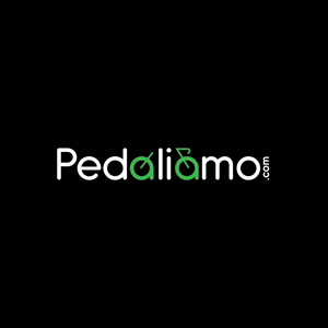 Logo Design by r. ilham