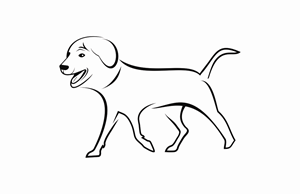 Design Graphique par Mozez32 pour ce projet | Design : #31524229