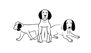 Design Graphique par Mozez32 pour ce projet | Design : #31526813