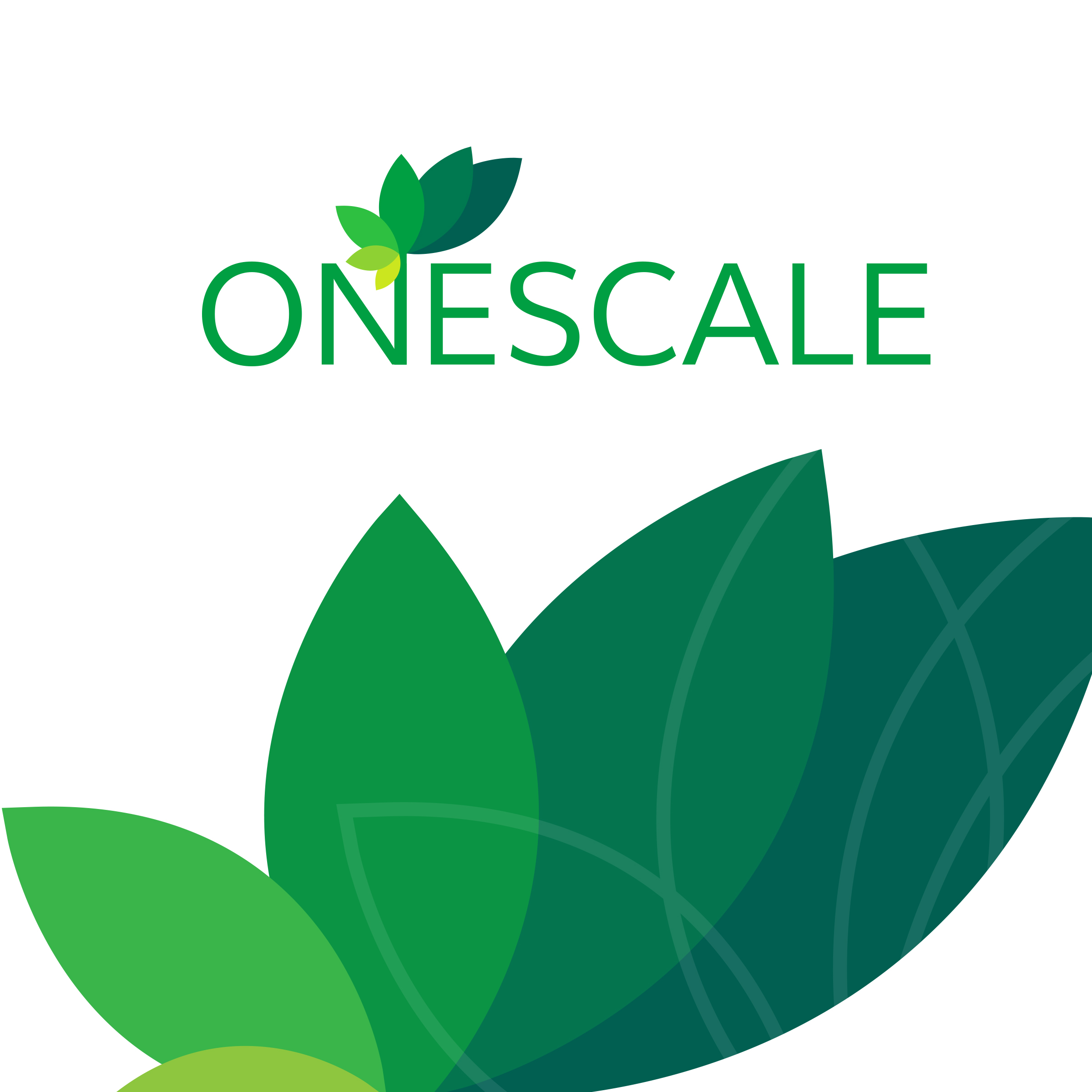 Logo Design by CanDoDesign for OneScale | Design #31532508