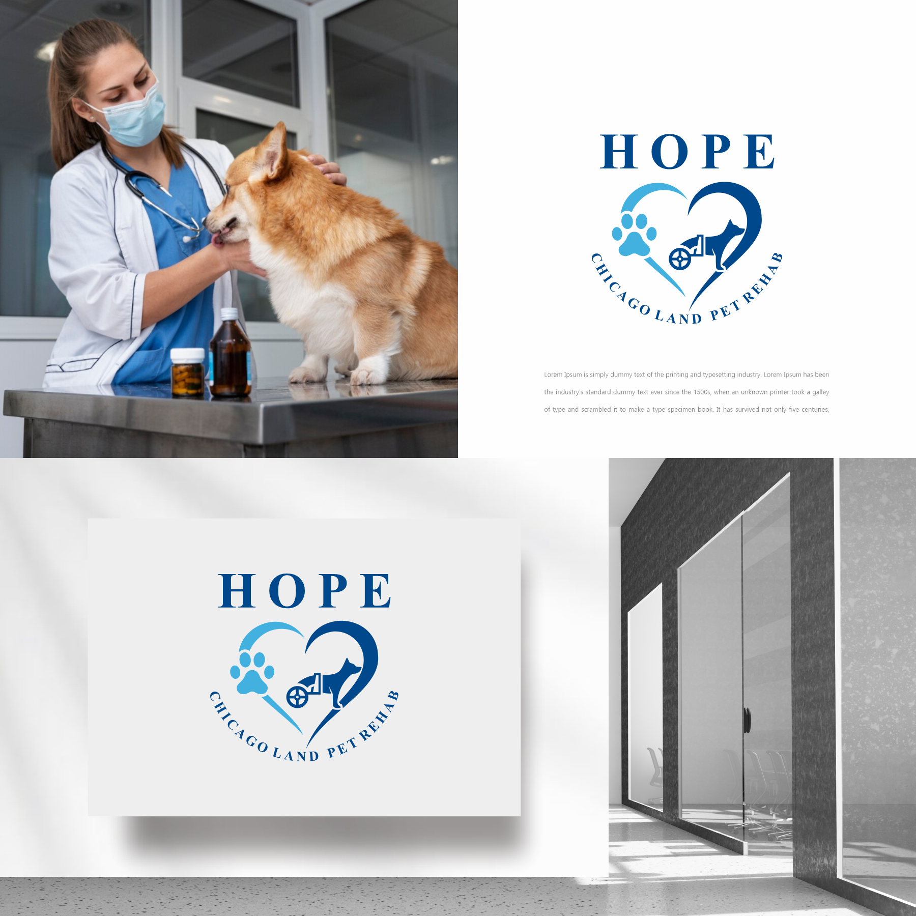 Diseño de Logo por sabina aiko para este proyecto | Diseño #31573439