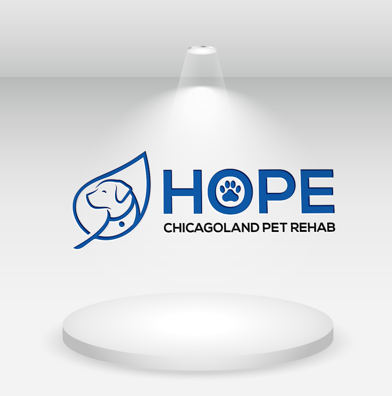 Logo Design by Christopher C for this project | Design #31571972