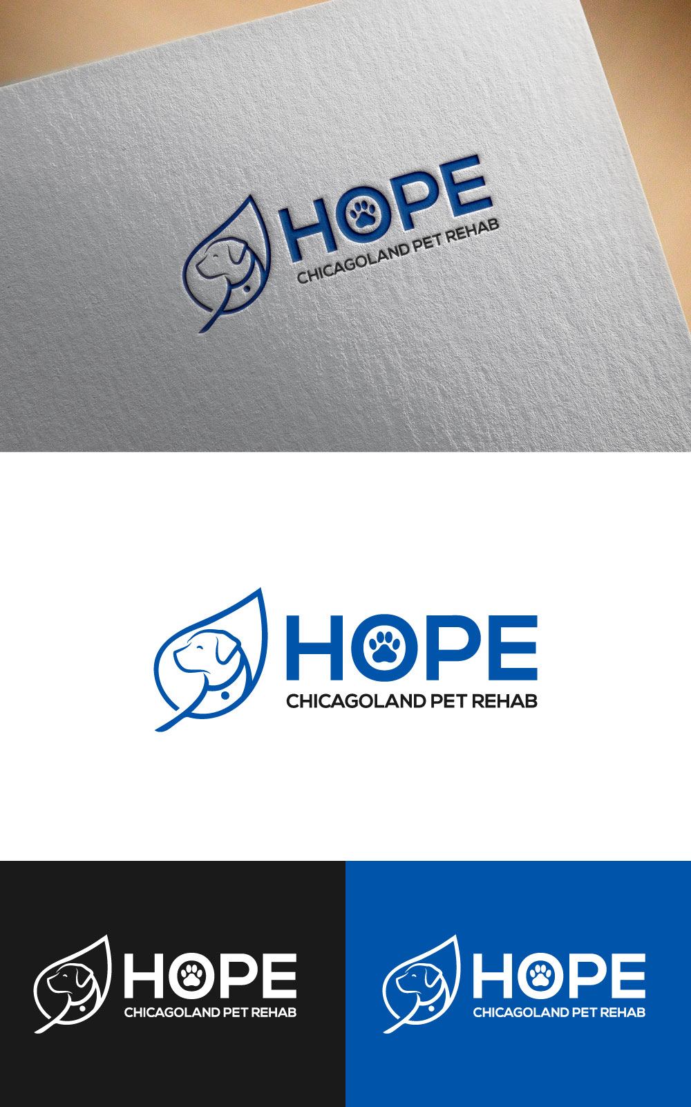 Diseño de Logo por DesignVerse777 para este proyecto | Diseño #31571973