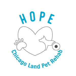 Logo Design by khushipatel for this project | Design: #31571110