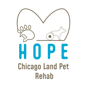 Logo Design by khushipatel for this project | Design: #31571119