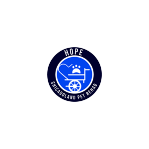 Logo Design by Ansh Design for this project | Design: #31537165
