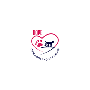 Logo Design by Ansh Design for this project | Design: #31537168