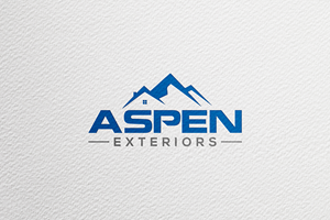 Logo Design by Pen Qazi