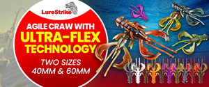 Diseño De Banner Publicitario por Md. Humayun para este proyecto | Diseño: #31554746
