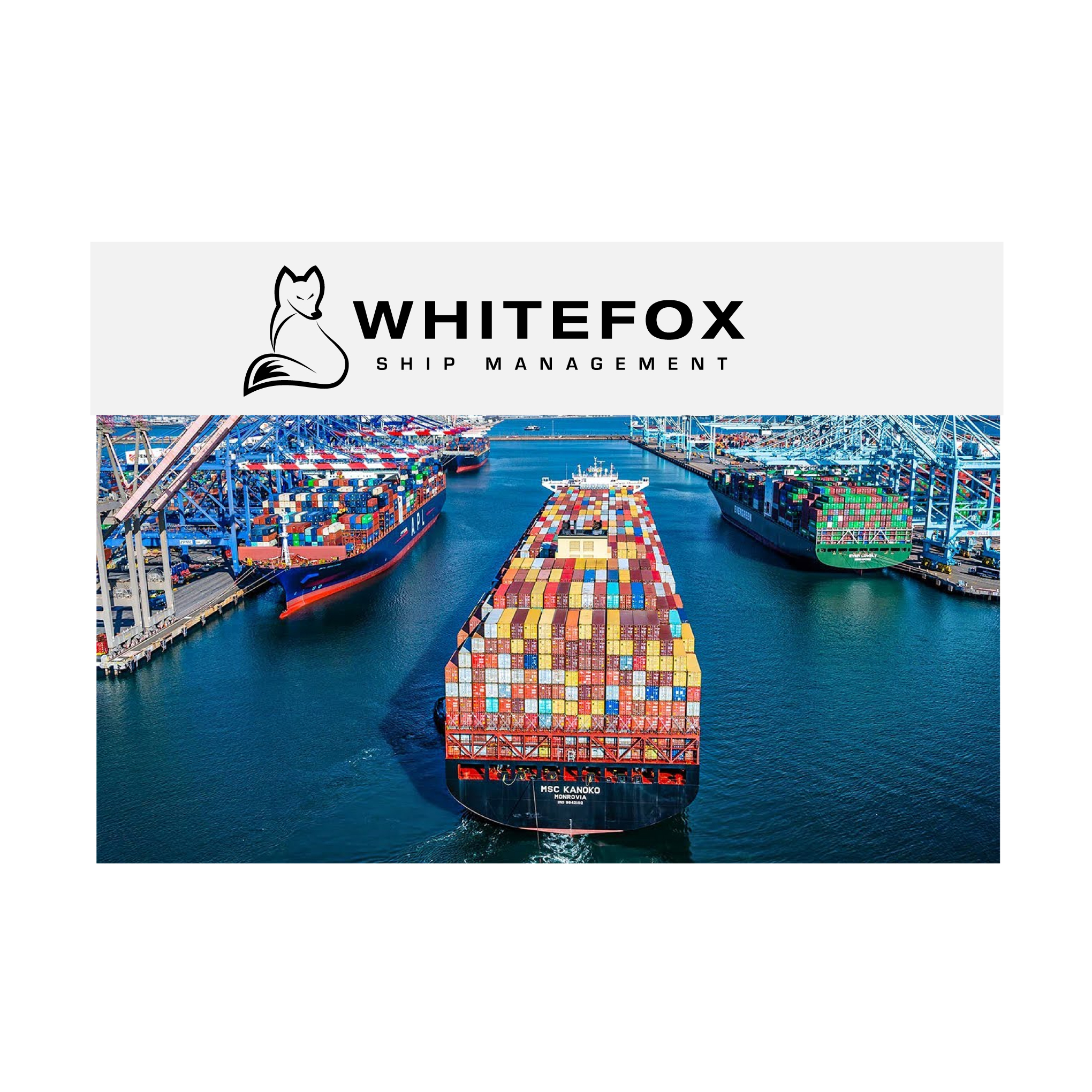 Design de Logo par charlygraphics pour ce projet | Design #31556168