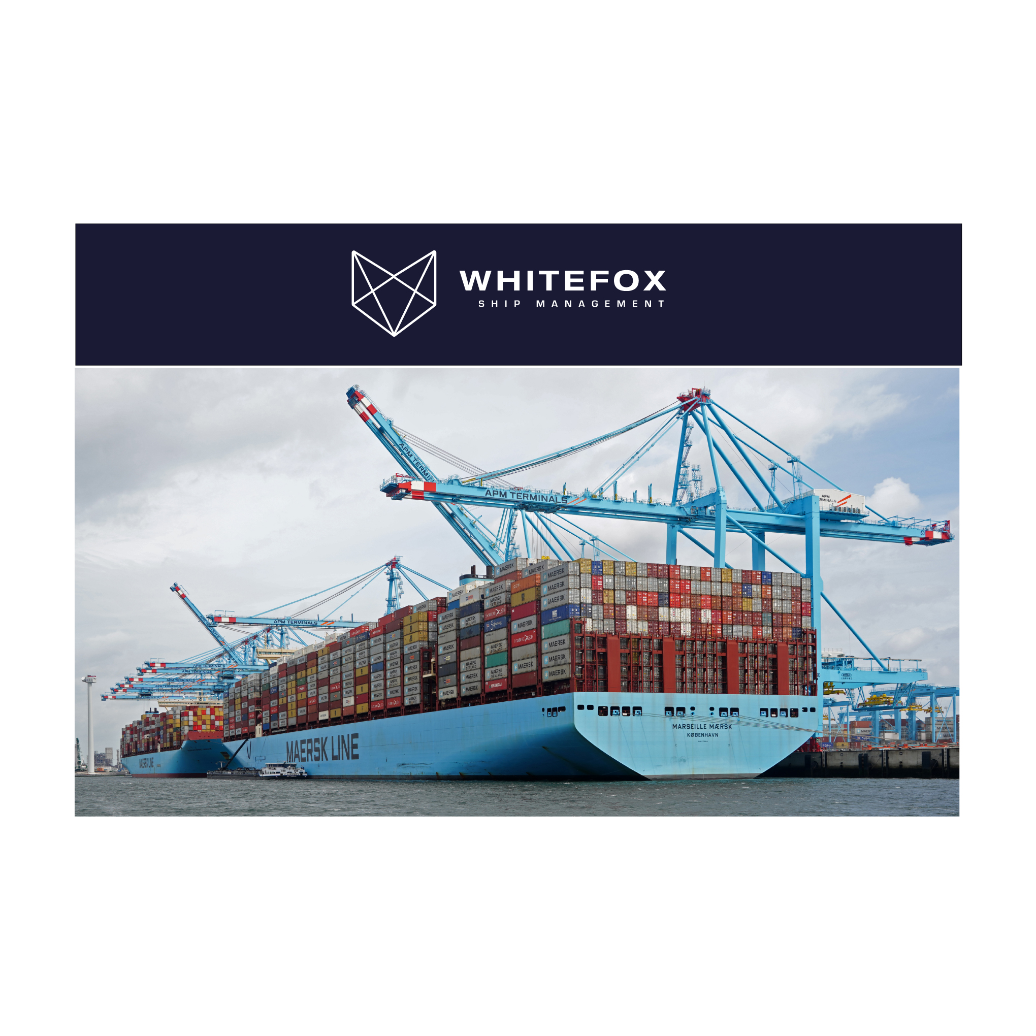 Design de Logo par charlygraphics pour ce projet | Design #31556171