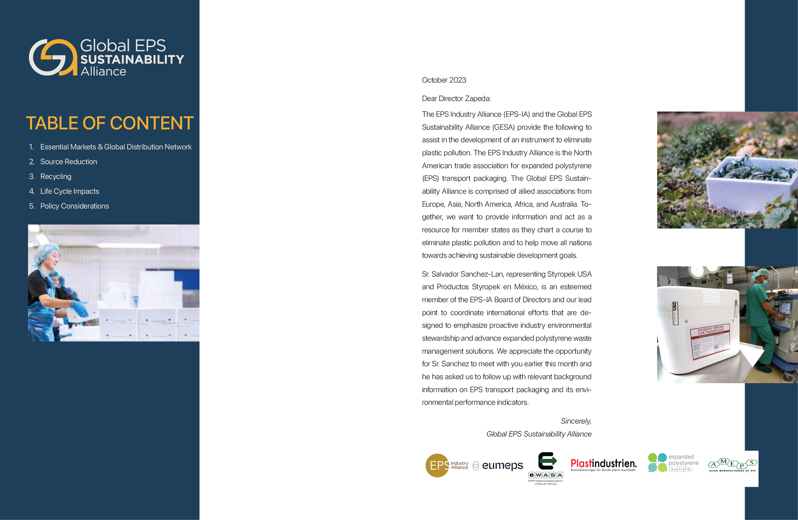 Brochure Design by Vyacheslav65 for EPS-IA | Design #31564099