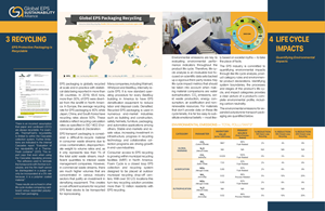 Brochure Design by Vyacheslav65 for EPS-IA | Design: #31564101