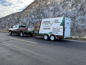 Car Wrap Design by SmartCast for Floral Seasons Corp | Design: #31569013
