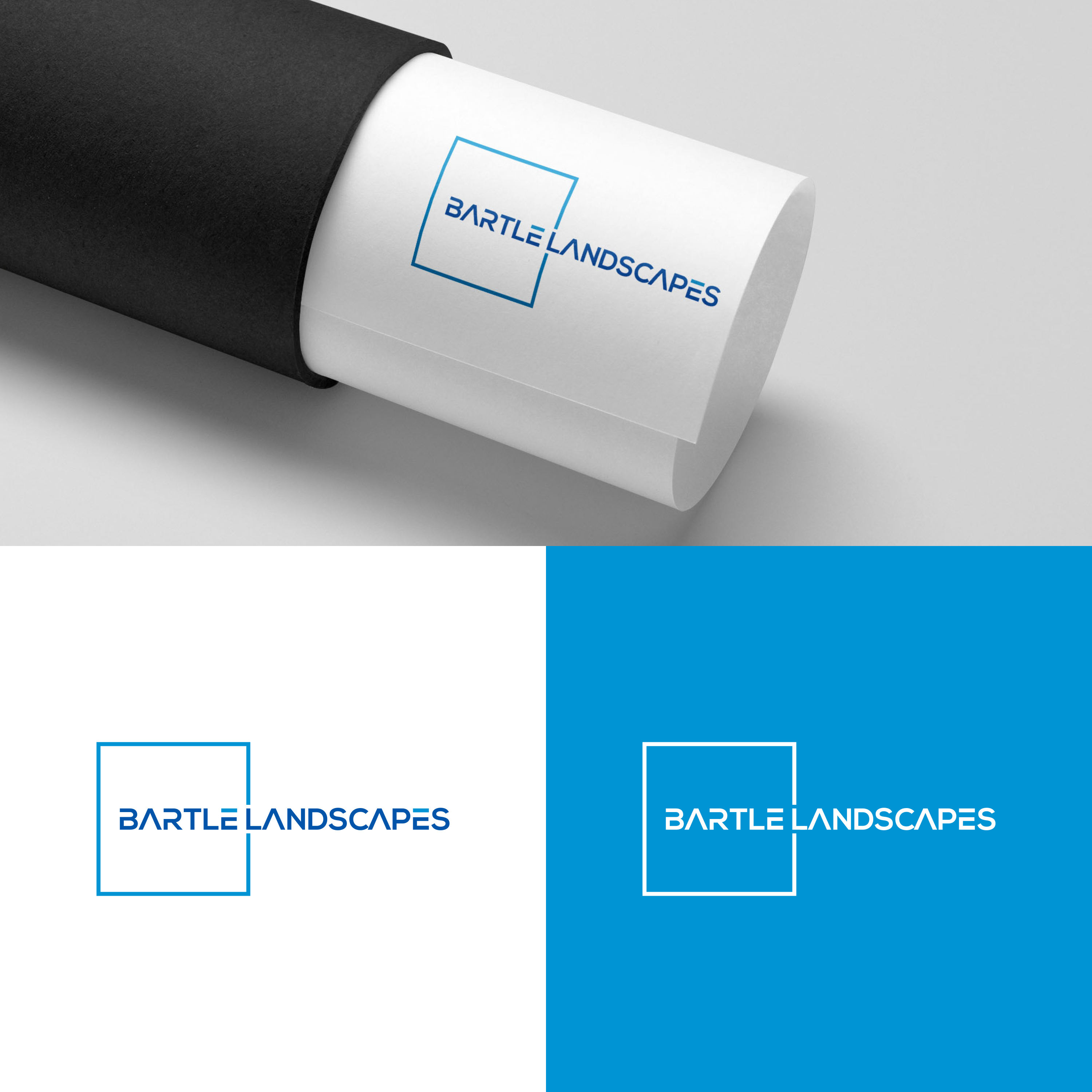 Diseño de Logo por Dylan Z.R para este proyecto | Diseño #31578894