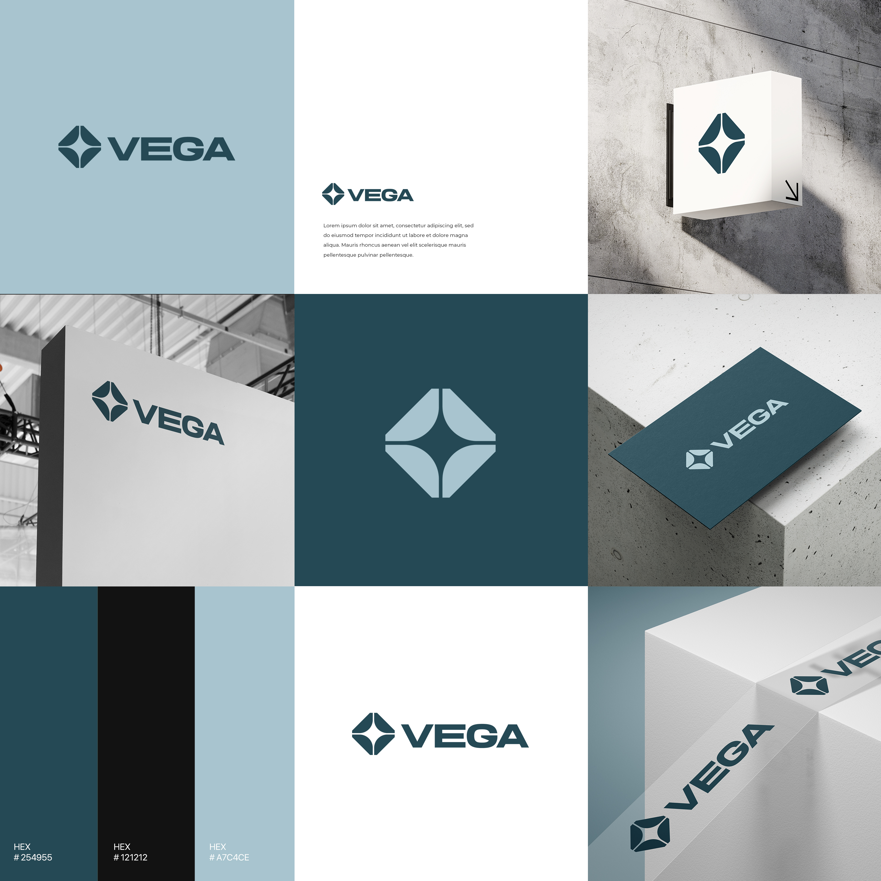 Logo Design by ibart for GROUPE Thomas Vidal | Design #31613628