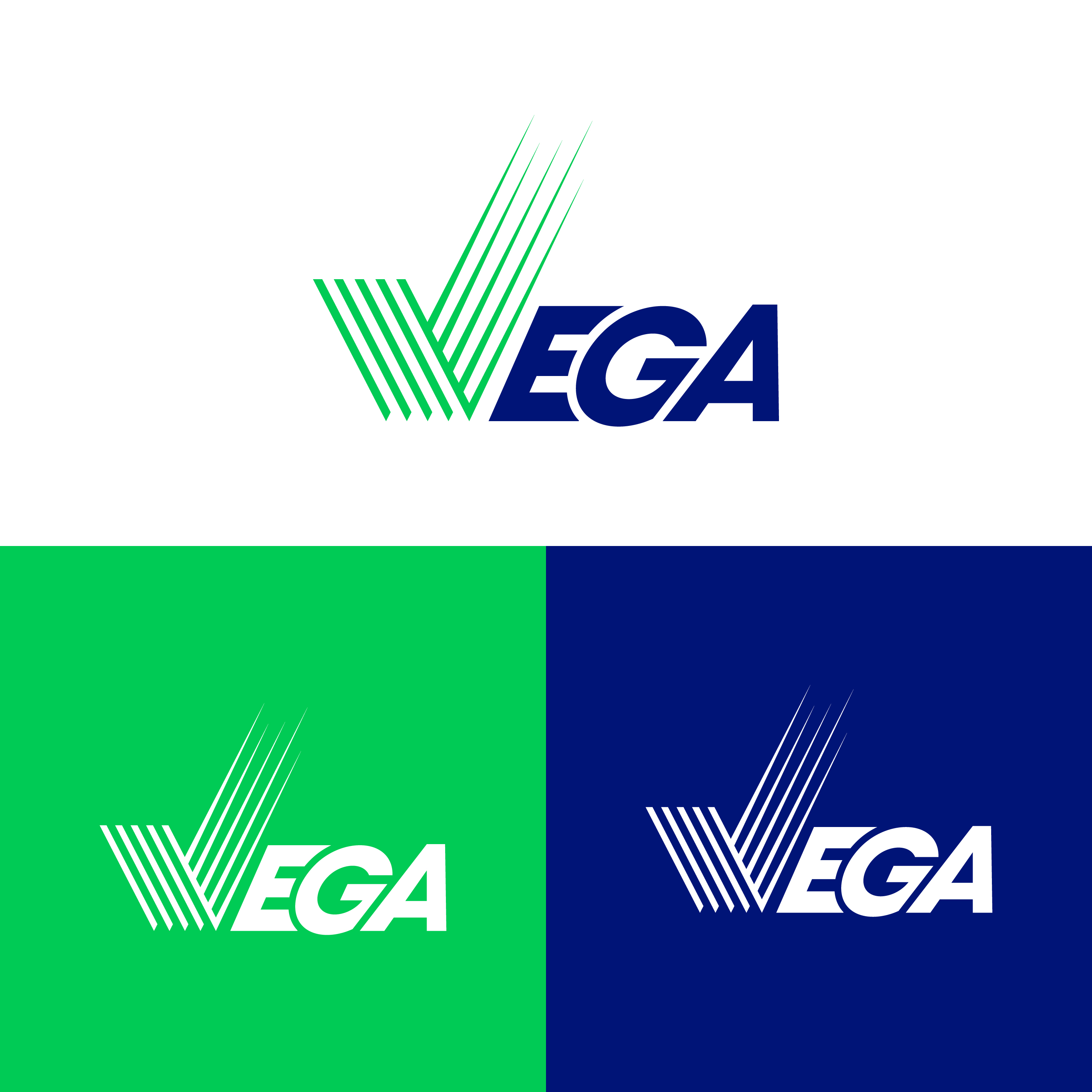 Logo Design by Ashraful 9 for GROUPE Thomas Vidal | Design #31574907