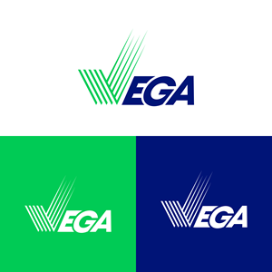 Logo Design by Ashraful 9