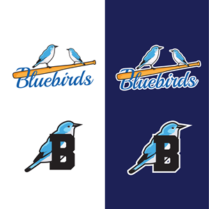 Logo Design by dskyvbc for this project | Design: #31586797