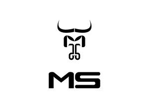 Logo Design by Anisur RaKa