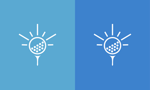 Logo Design by Ameer007