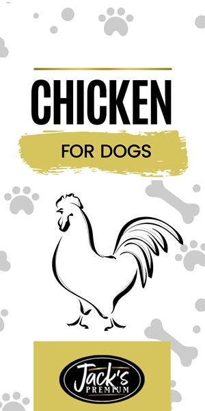 Graphic Design by aberyor for Jack's Premium | Design: #31585147