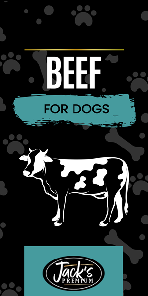 Graphic Design by aberyor for Jack's Premium | Design: #31590569