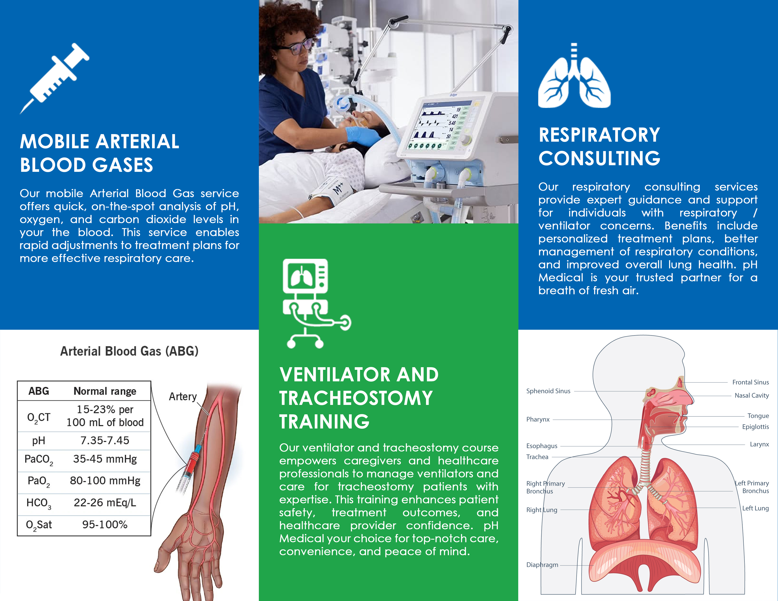 Brochure Design by Krold IT Solutions for this project | Design #31632749