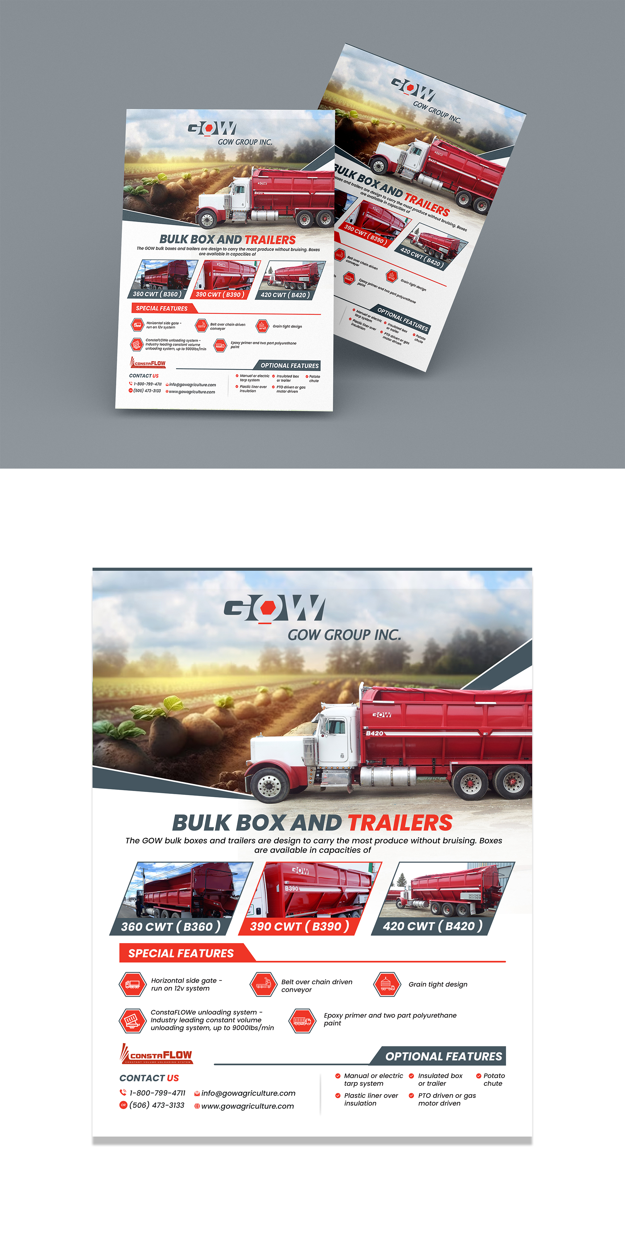 Diseño de Flyer por debdesign para este proyecto | Diseño #31596971