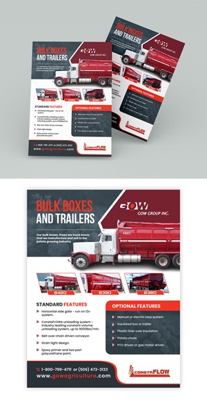 Diseño de Flyer por debdesign para este proyecto | Diseño: #31596987