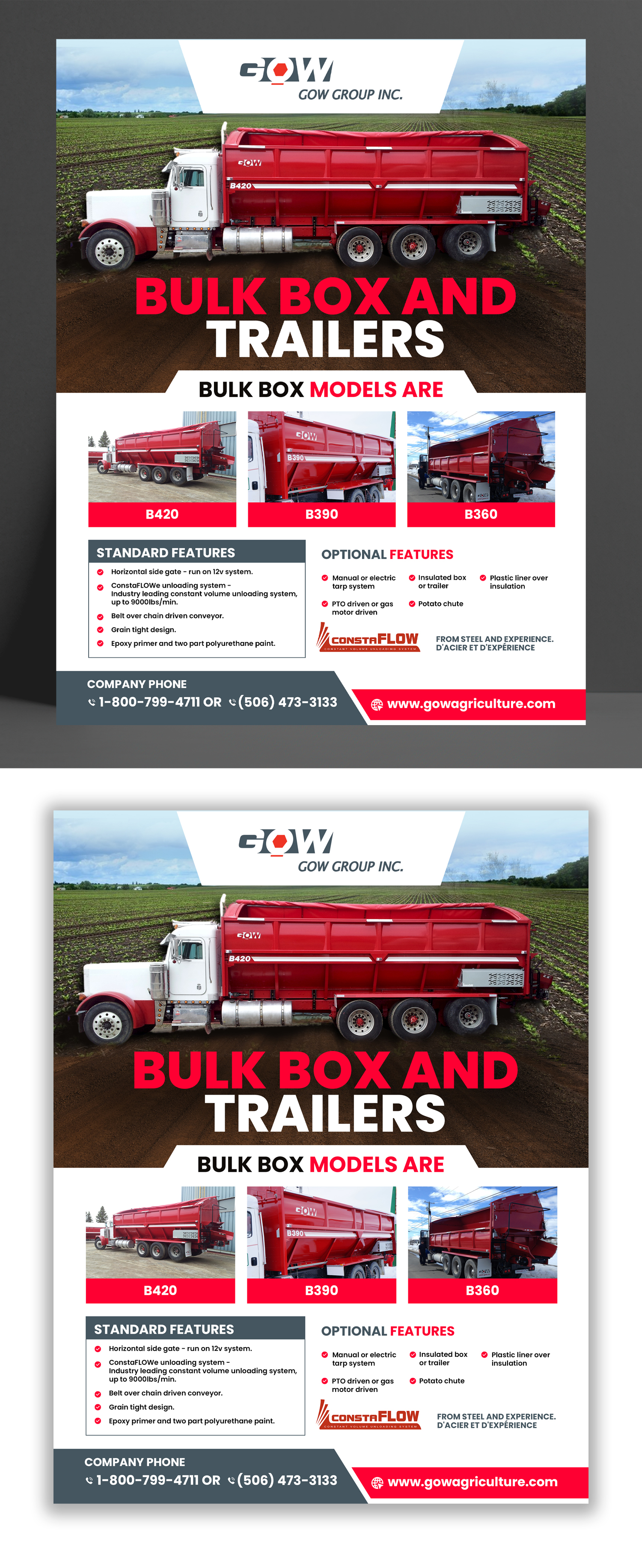 Diseño de Flyer por debdesign para este proyecto | Diseño #31597030