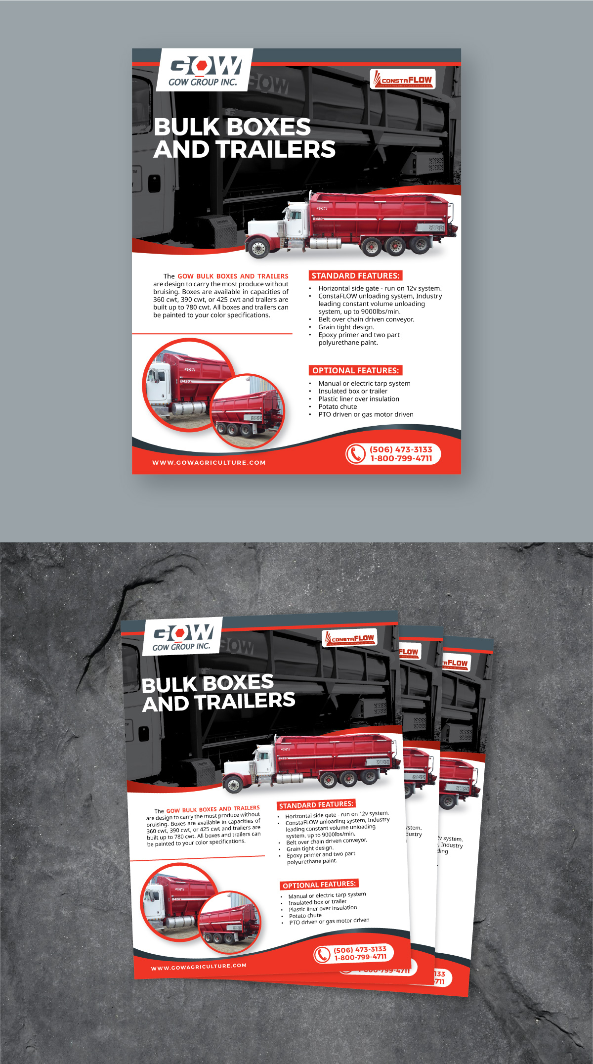 Flyer Design by Fajr. for this project | Design #31609207